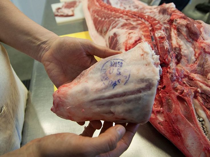 meat inspection stamp